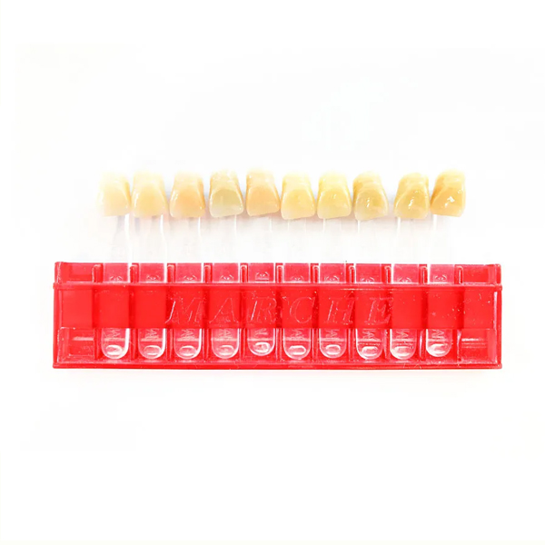 MUESTRARIO DE COLORES - DIENTES MARCHE