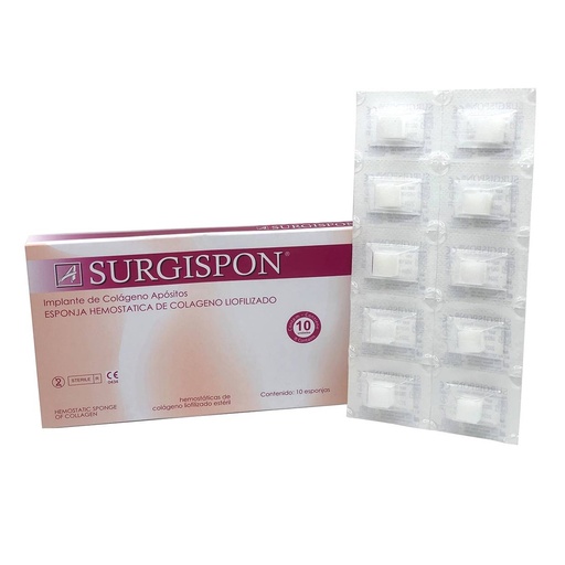 GELITA TAPON HEMOSTATICO CAJA 10 UNID - SURGISPON