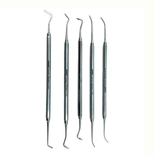 KIT DE PKT, SET 5 INST PARA TALLAR GOTEAR CERA - LEOINOX