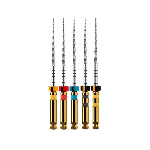 LIMA MECANIZADA - PROTAPER NEXT 25MM - MAILLEFER